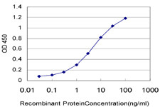 RCV1 Antibody in ELISA (ELISA)