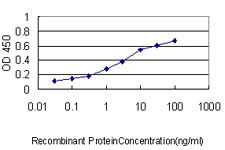 RLBP1 Antibody in ELISA (ELISA)