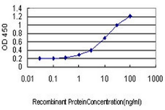 RPL10 Antibody in ELISA (ELISA)