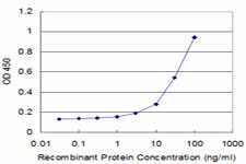 RPS3 Antibody in ELISA (ELISA)