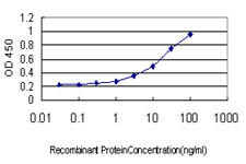 RRAS Antibody in ELISA (ELISA)