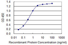 S100B Antibody in ELISA (ELISA)