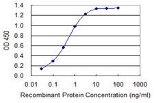 S100B Antibody in ELISA (ELISA)