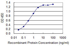 S100B Antibody in ELISA (ELISA)