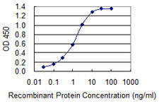 S100B Antibody in ELISA (ELISA)