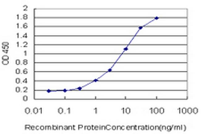 SCN2B Antibody in ELISA (ELISA)