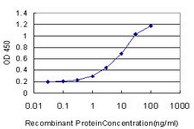 SCN3A Antibody in ELISA (ELISA)