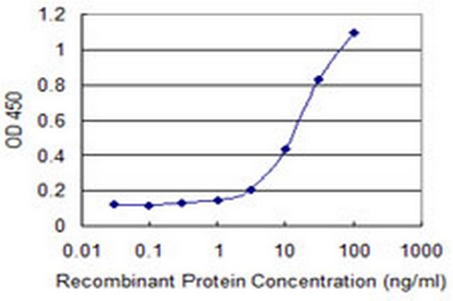 CCL1 Antibody in ELISA (ELISA)