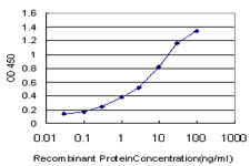 CCL15 Antibody in ELISA (ELISA)