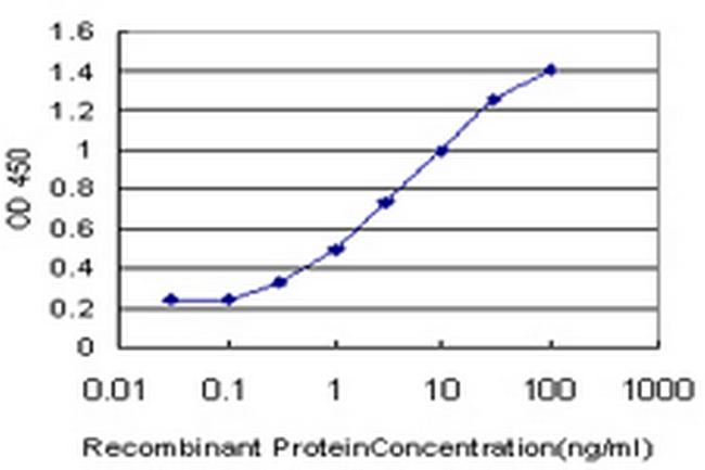 CCL15 Antibody in ELISA (ELISA)