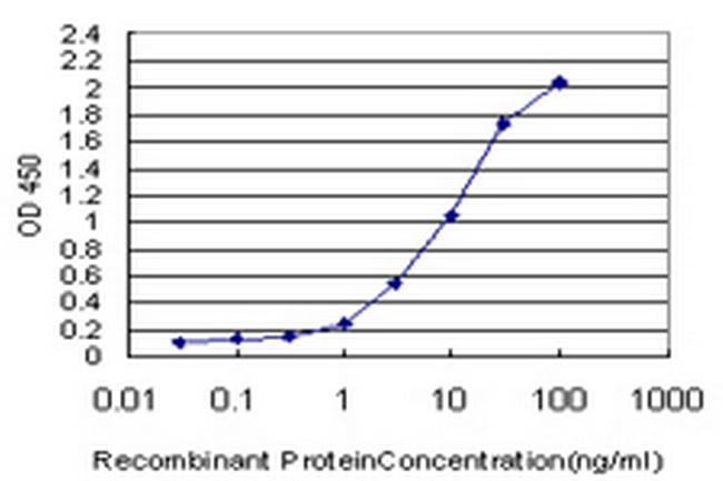 CCL15 Antibody in ELISA (ELISA)