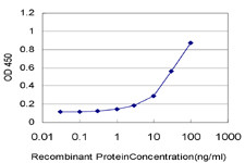 CXCL12 Antibody in ELISA (ELISA)