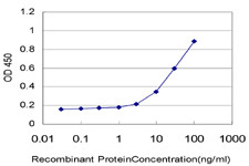 CXCL12 Antibody in ELISA (ELISA)