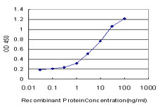 SGK Antibody in ELISA (ELISA)