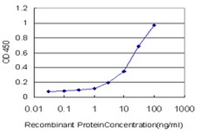 SHH Antibody in ELISA (ELISA)