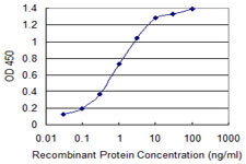 SIAH1 Antibody in ELISA (ELISA)