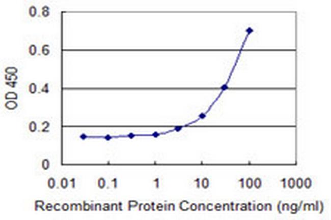 SLC2A4 Antibody in ELISA (ELISA)