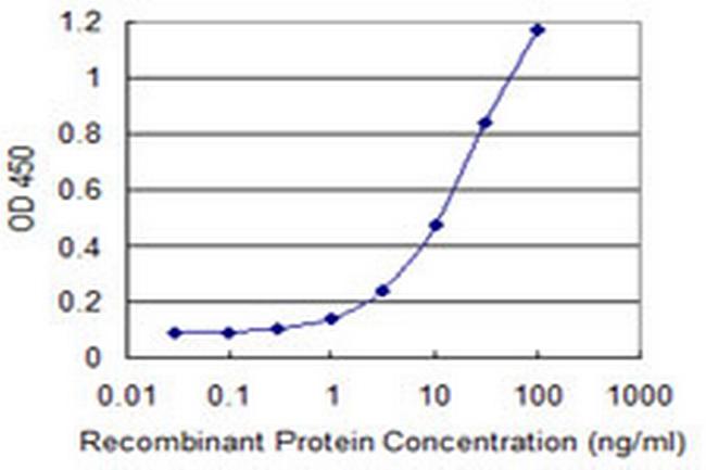 SLC2A4 Antibody in ELISA (ELISA)