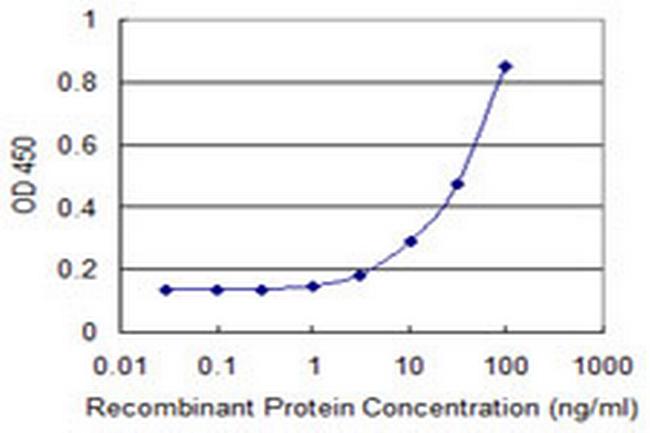 SLC2A4 Antibody in ELISA (ELISA)