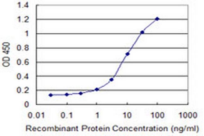 SLC20A2 Antibody in ELISA (ELISA)