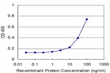 SLIT3 Antibody in ELISA (ELISA)