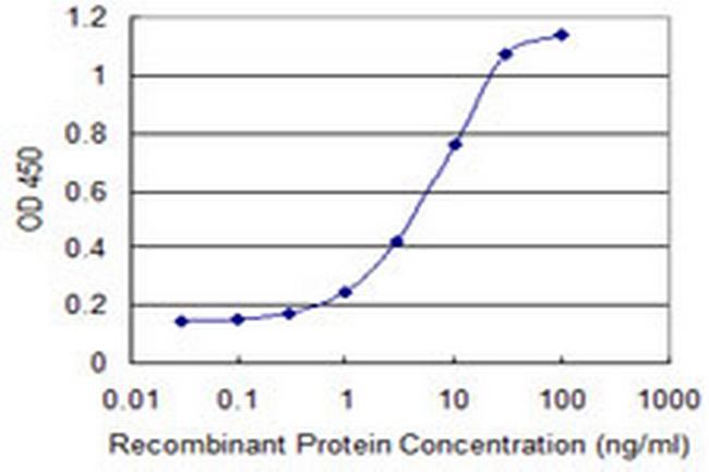 SMO Antibody in ELISA (ELISA)