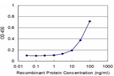 SNCB Antibody in ELISA (ELISA)