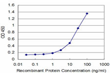 SNCB Antibody in ELISA (ELISA)