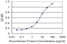 SNAPC4 Antibody in ELISA (ELISA)