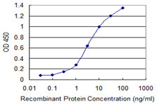 SNCA Antibody in ELISA (ELISA)