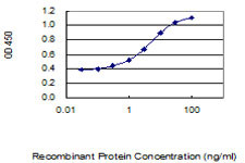 SOX9 Antibody in ELISA (ELISA)