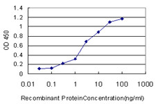 SP1 Antibody in ELISA (ELISA)