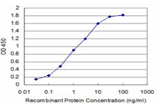 SPI1 Antibody in ELISA (ELISA)