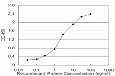 STAT5A Antibody in ELISA (ELISA)