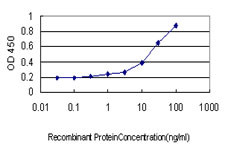 STAU1 Antibody in ELISA (ELISA)