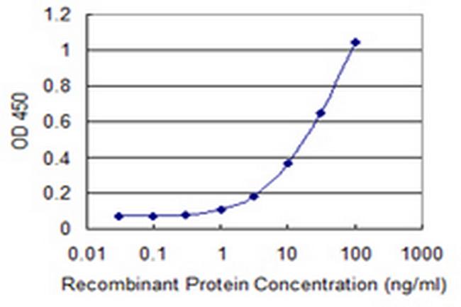 STIM1 Antibody in ELISA (ELISA)