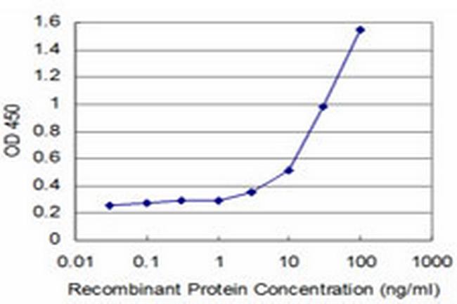 SYN1 Antibody in ELISA (ELISA)