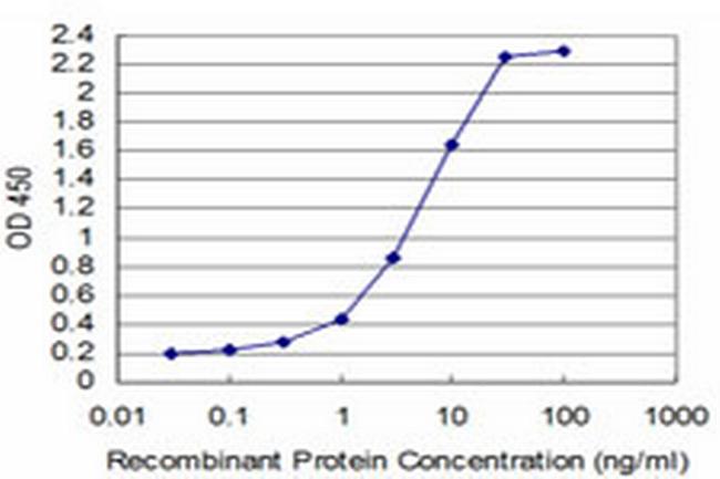 SYN1 Antibody in ELISA (ELISA)