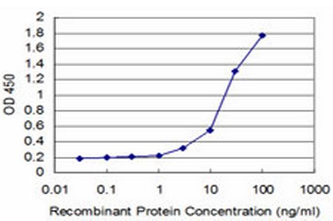 SYN1 Antibody in ELISA (ELISA)