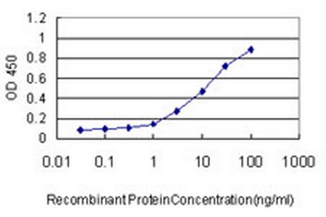 TAF1 Antibody in ELISA (ELISA)