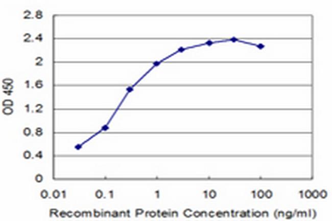 TAL2 Antibody in ELISA (ELISA)