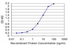 TCEA3 Antibody in ELISA (ELISA)