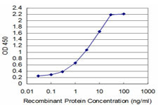 TCF7 Antibody in ELISA (ELISA)