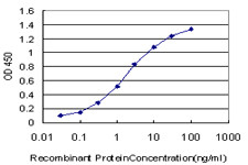 TCF7L2 Antibody in ELISA (ELISA)