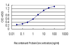 TFAP4 Antibody in ELISA (ELISA)