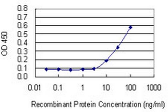 TIMP3 Antibody in ELISA (ELISA)