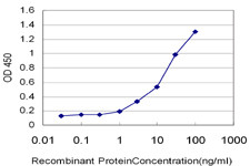 TK1 Antibody in ELISA (ELISA)