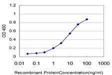 TLR5 Antibody in ELISA (ELISA)