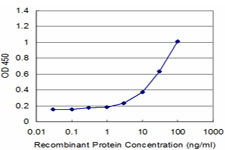 TMPRSS2 Antibody in ELISA (ELISA)