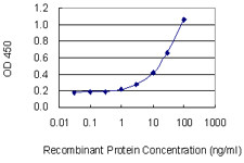 TPBG Antibody in ELISA (ELISA)